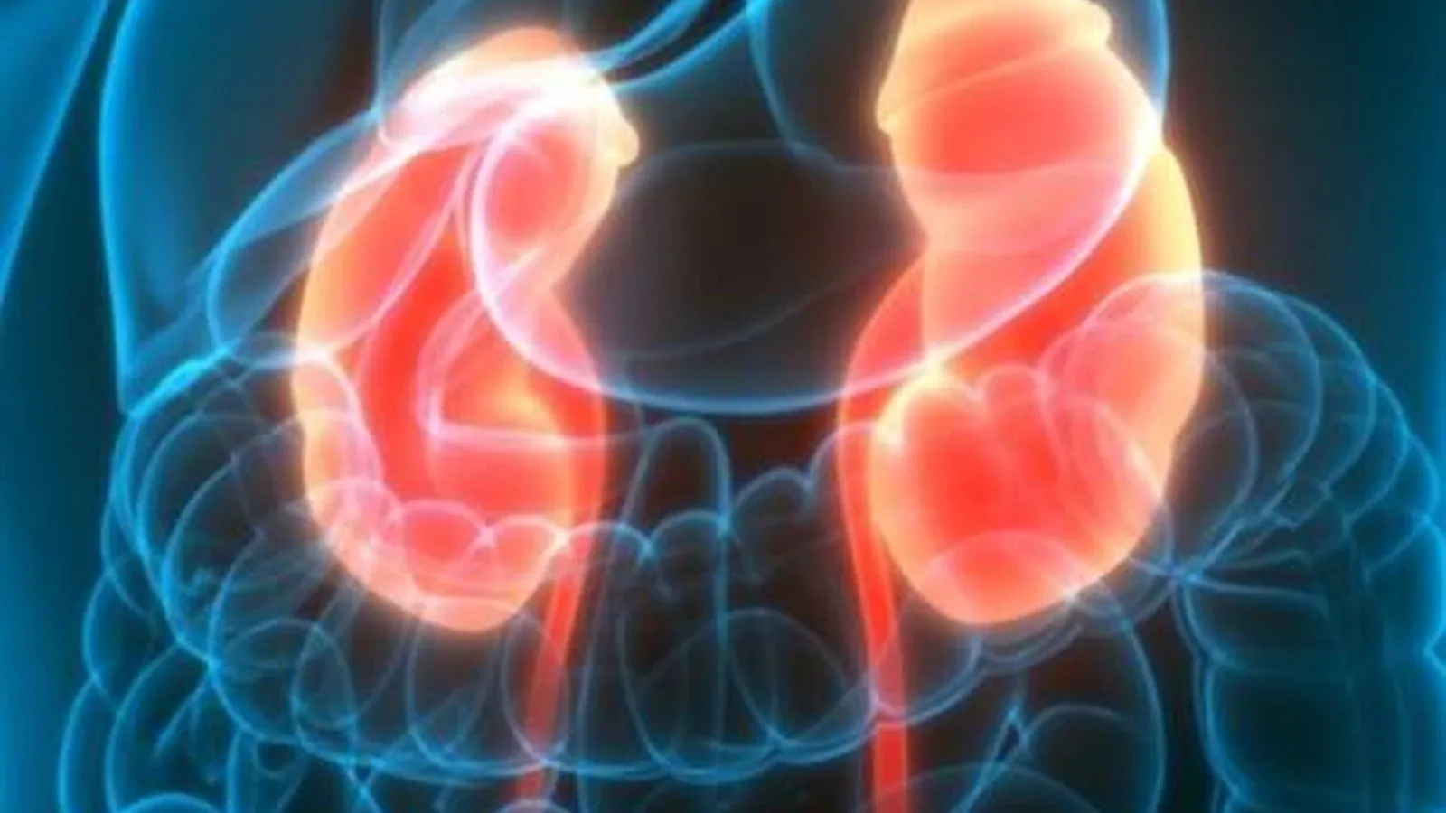 Hematuria: Diagnóstico integral y opciones de tratamiento avanzado en CDMX