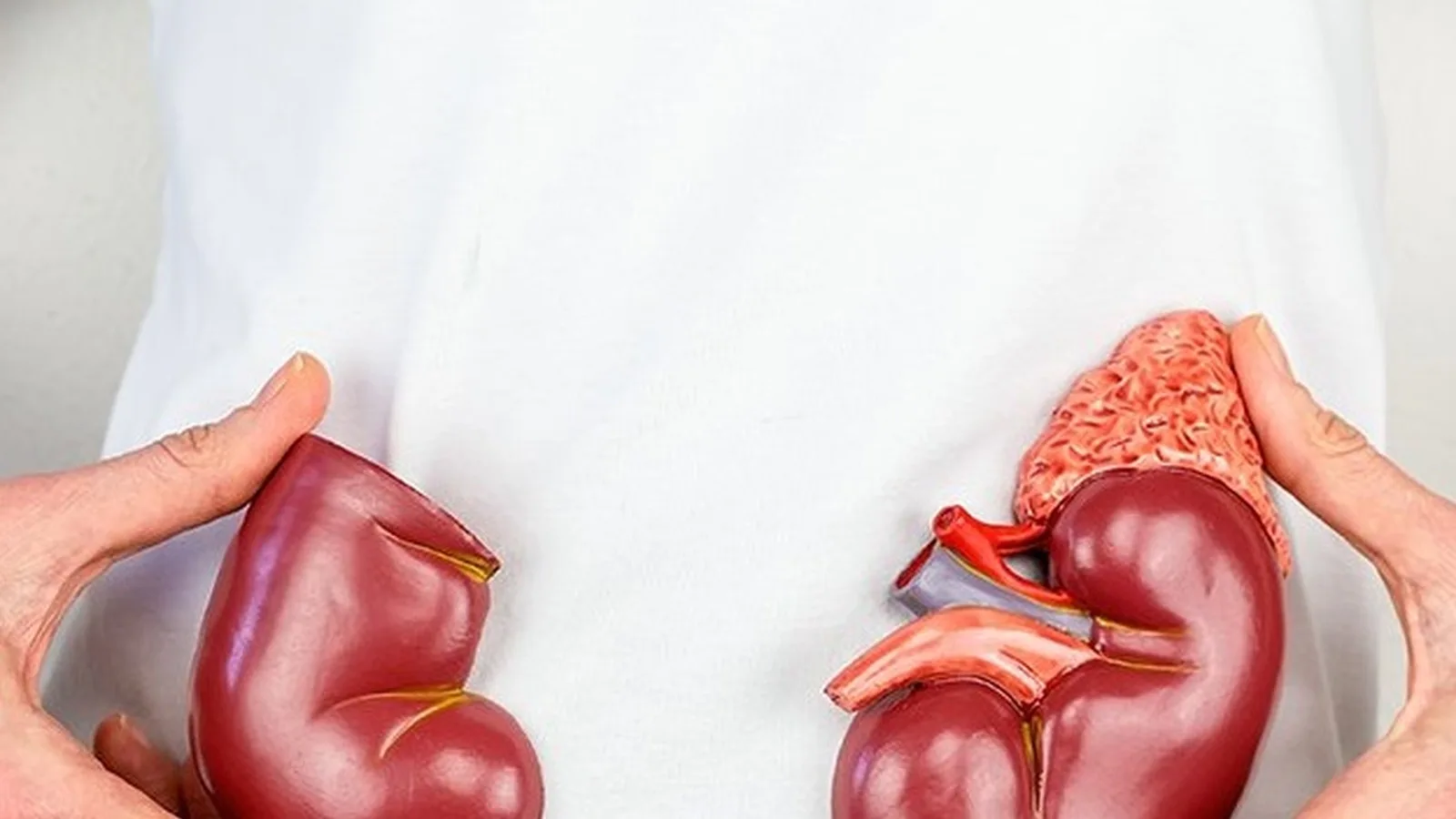 ¿Qué especialista trata la hematuria en CDMX?